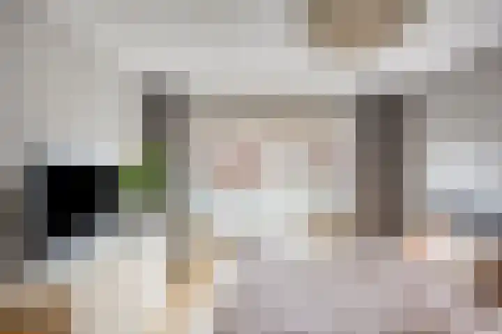 Laan van Nieuw Oosteinde 358 Voorburg thumbnail 33