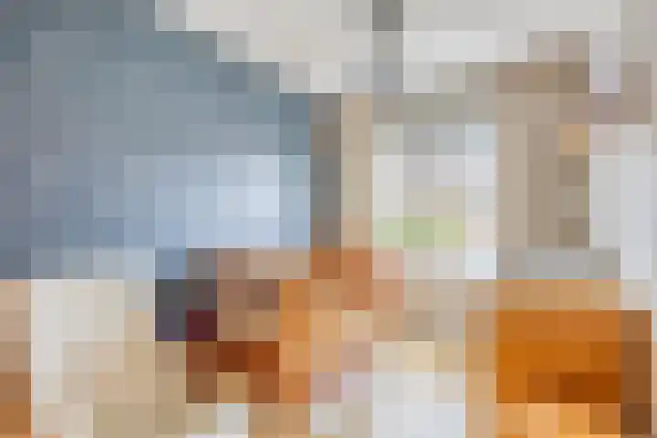 Laan van Nieuw Oosteinde 358 Voorburg thumbnail 35