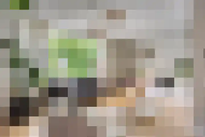 Laan van Nieuw Oosteinde 358 Voorburg thumbnail 4