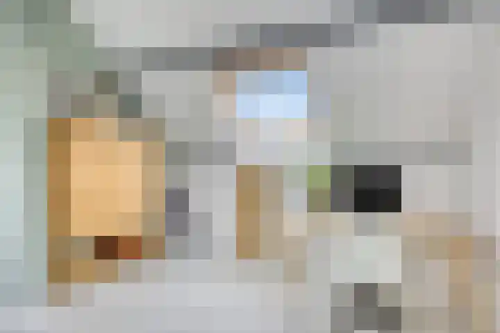 Laan van Nieuw Oosteinde 358 Voorburg thumbnail 40