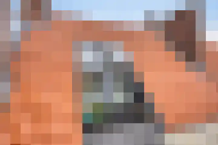 Laan van Nieuw Oosteinde 358 Voorburg thumbnail 46