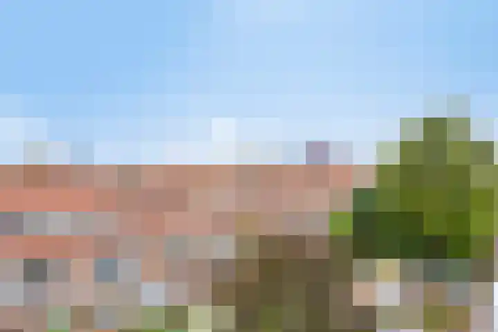 Laan van Nieuw Oosteinde 358 Voorburg thumbnail 49