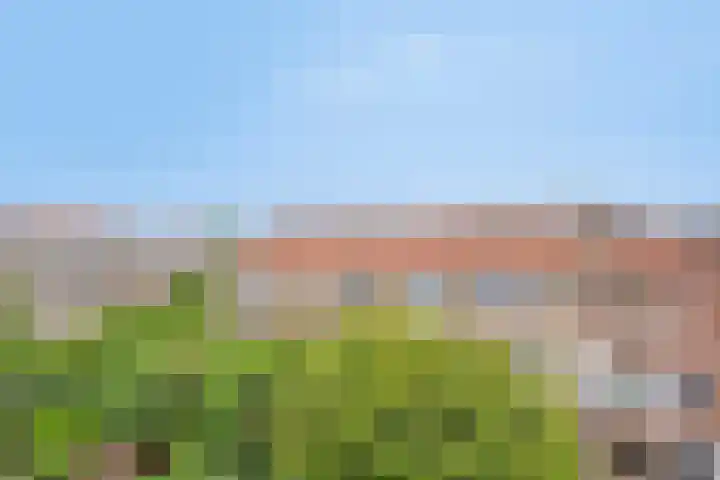 Laan van Nieuw Oosteinde 358 Voorburg thumbnail 50