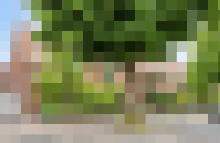 Laan van Nieuw Oosteinde 358 Voorburg thumbnail 53