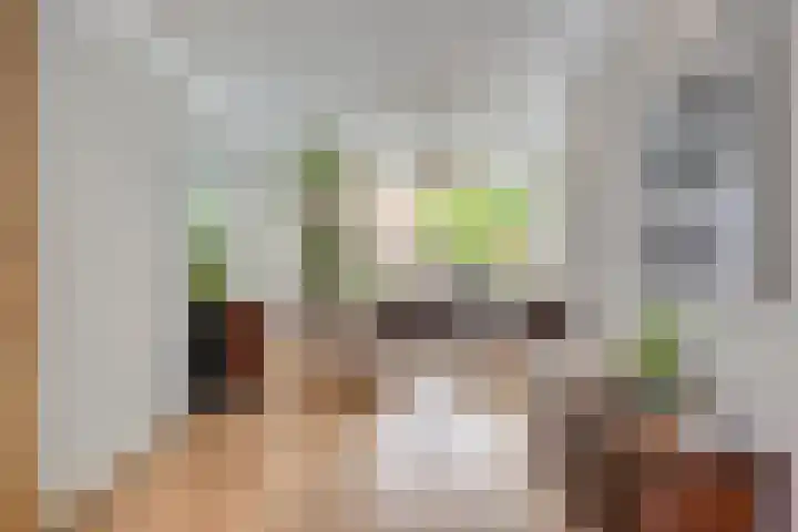 Laan van Nieuw Oosteinde 358 Voorburg thumbnail 9