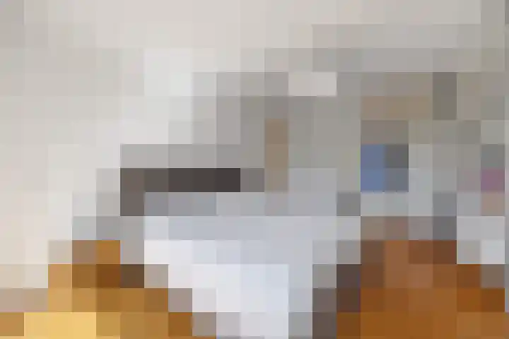 Laan van Nieuw Oosteinde 380 Voorburg thumbnail 30