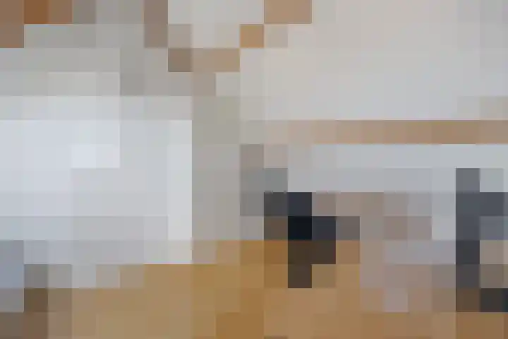 Laan van Nieuw Oosteinde 380 Voorburg thumbnail 37