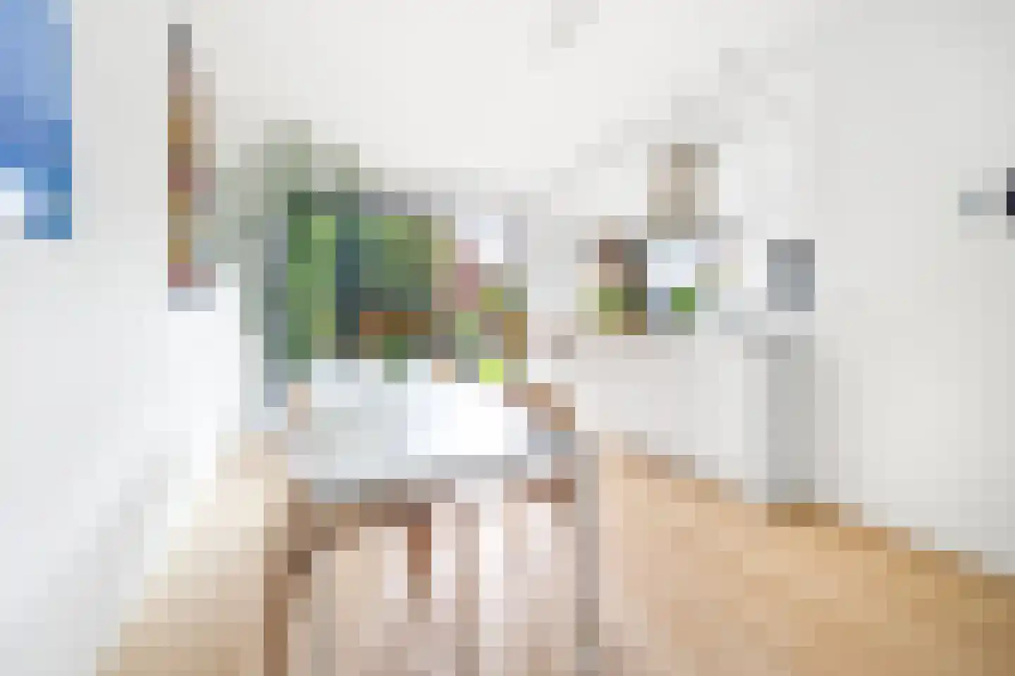 Laan van Nieuw Oosteinde 400 Voorburg thumbnail 11