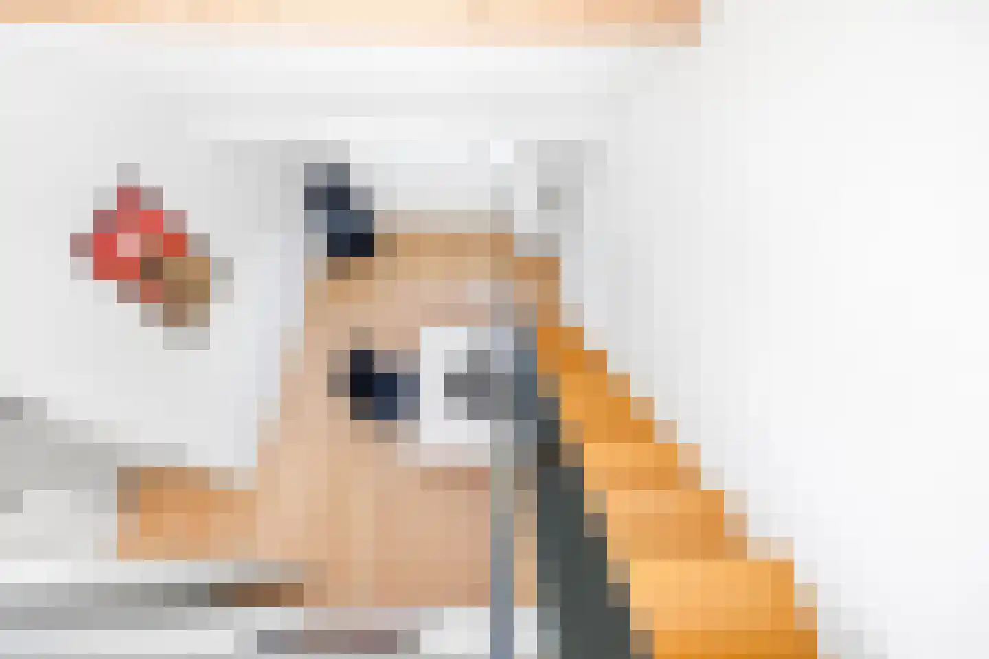 Laan van Nieuw Oosteinde 400 Voorburg thumbnail 39