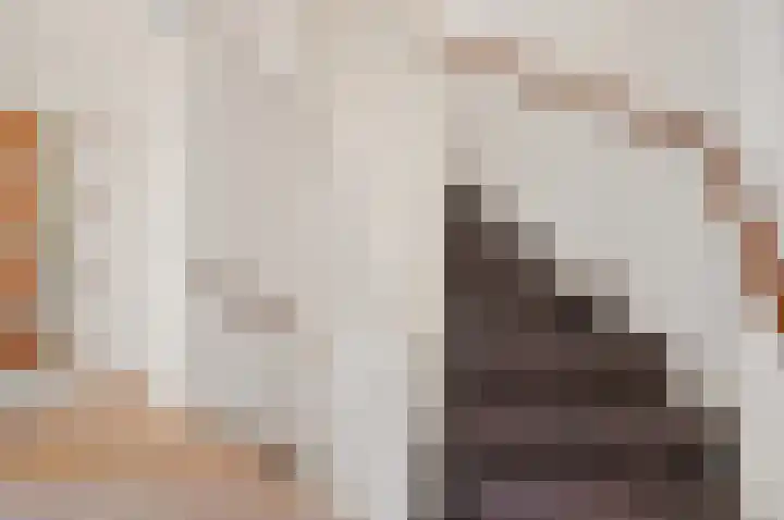 Laan van Nieuw Oosteinde 436 Voorburg thumbnail 11