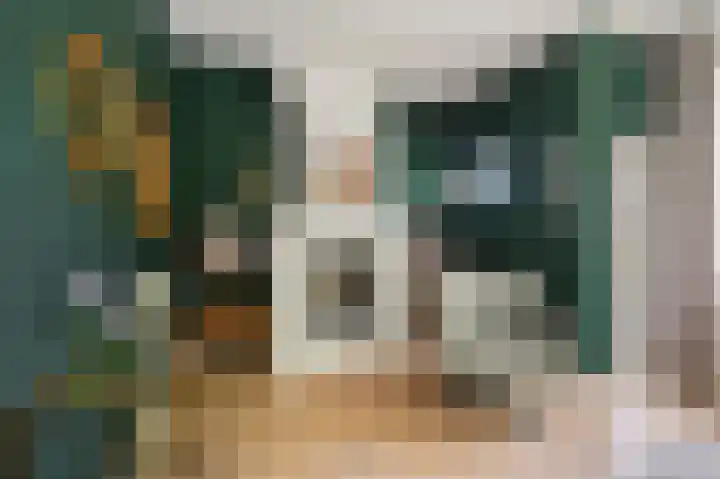 Laan van Nieuw Oosteinde 436 Voorburg thumbnail 18