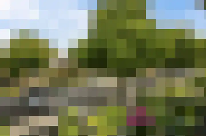 Laan van Nieuw Oosteinde 436 Voorburg thumbnail 20
