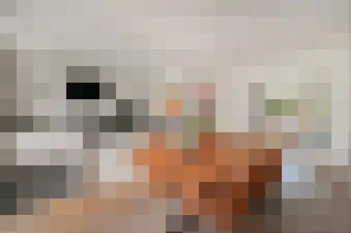 Laan van Nieuw Oosteinde 436 Voorburg thumbnail 23
