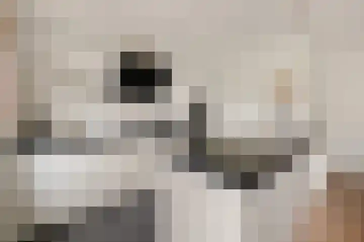 Laan van Nieuw Oosteinde 436 Voorburg thumbnail 24