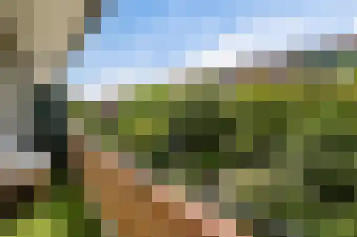 Laan van Nieuw Oosteinde 436 Voorburg thumbnail 27