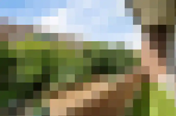 Laan van Nieuw Oosteinde 436 Voorburg thumbnail 28