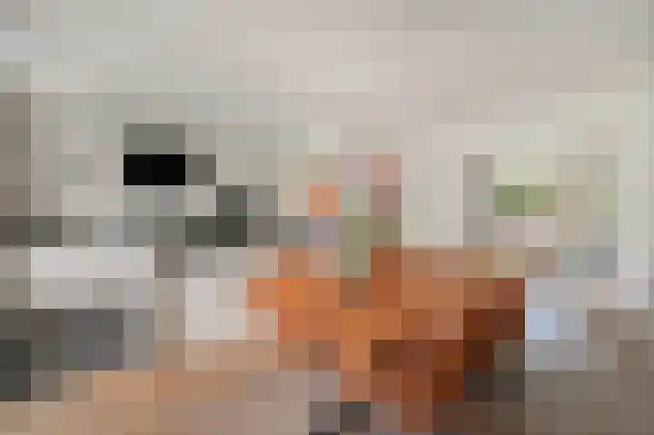 Laan van Nieuw Oosteinde 436 Voorburg foto 3
