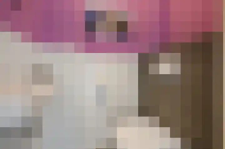 Laan van Nieuw Oosteinde 436 Voorburg thumbnail 32