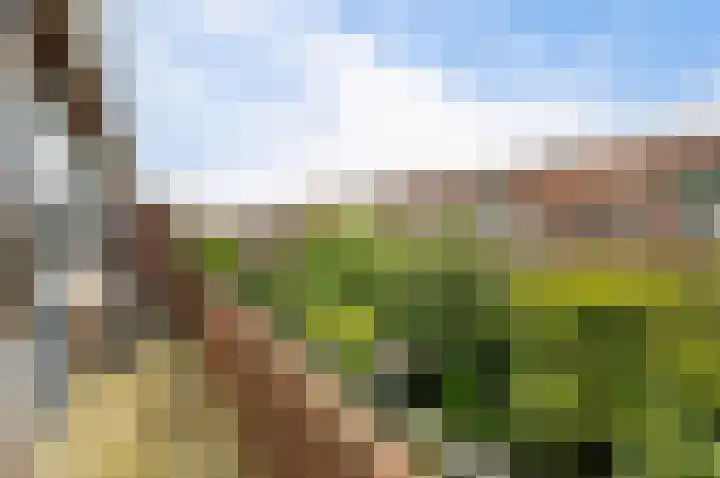 Laan van Nieuw Oosteinde 436 Voorburg thumbnail 36