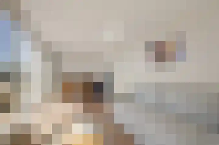 Laan van Nieuw Oosteinde 436 Voorburg thumbnail 47