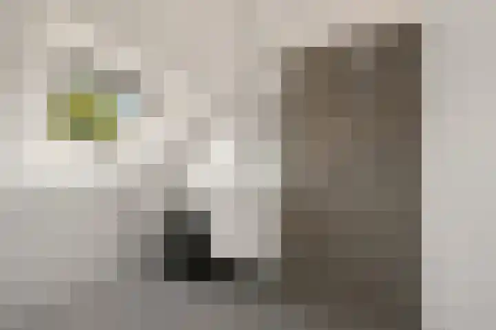 Laan van Nieuw Oosteinde 436 Voorburg thumbnail 50