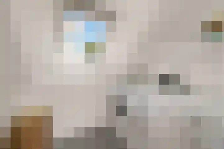 Laan van Nieuw Oosteinde 436 Voorburg thumbnail 52