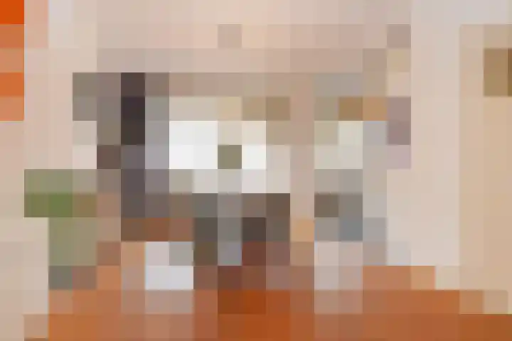 Laan van Nieuw Oosteinde 448 Voorburg thumbnail 15