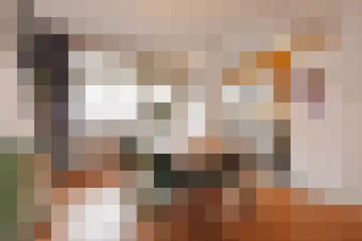 Laan van Nieuw Oosteinde 448 Voorburg thumbnail 17