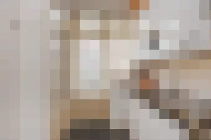 Laan van Nieuw Oosteinde 448 Voorburg thumbnail 20
