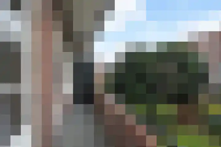 Laan van Nieuw Oosteinde 448 Voorburg thumbnail 21