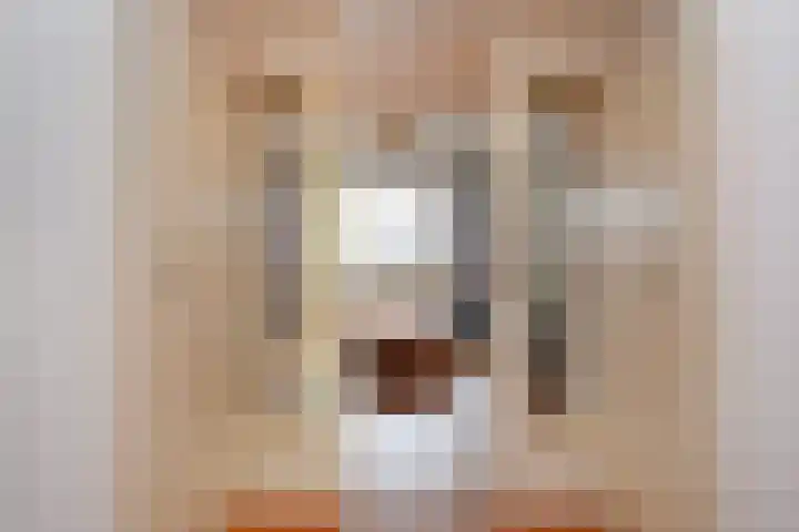 Laan van Nieuw Oosteinde 448 Voorburg thumbnail 27