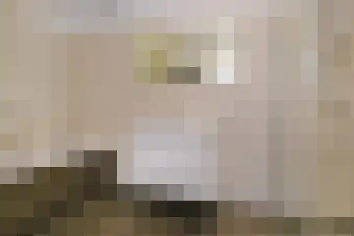 Laan van Nieuw Oosteinde 448 Voorburg thumbnail 38