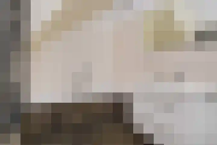 Laan van Nieuw Oosteinde 448 Voorburg thumbnail 39