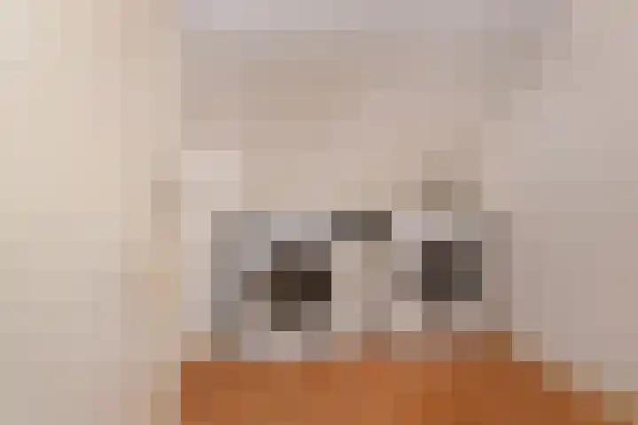 Laan van Nieuw Oosteinde 448 Voorburg thumbnail 41