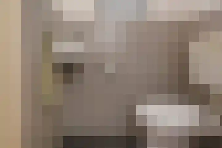 Laan van Nieuw Oosteinde 448 Voorburg thumbnail 42