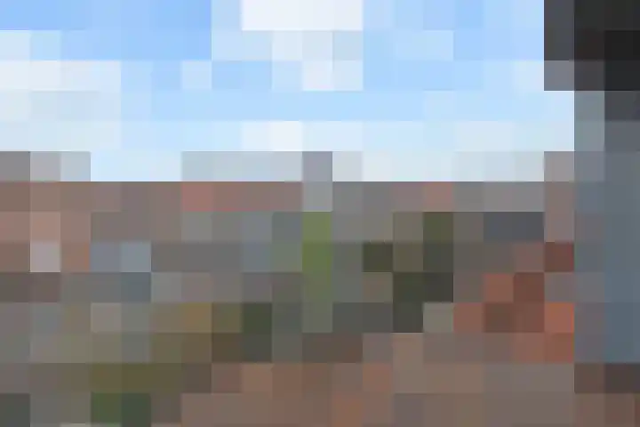 Laan van Nieuw Oosteinde 448 Voorburg thumbnail 48