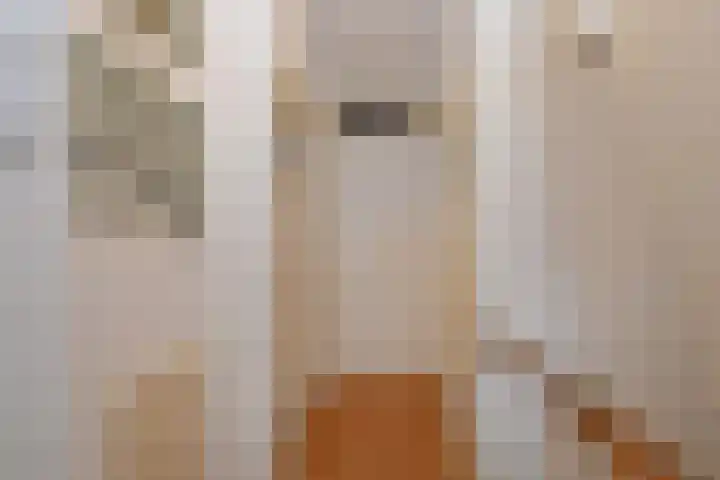 Laan van Nieuw Oosteinde 448 Voorburg thumbnail 5