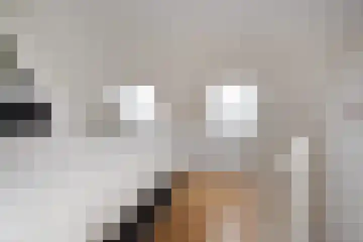 Laan van Nieuw Oosteinde 448 Voorburg thumbnail 50