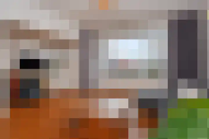 Laan van Nieuw Oosteinde 448 Voorburg thumbnail 8