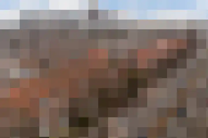 Laan van Nieuw Oosteinde 462 in Voorburg