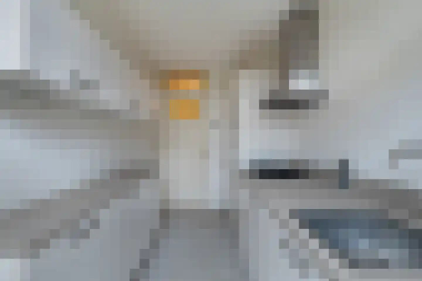Laan van Nieuw Oosteinde 462 Voorburg thumbnail 25