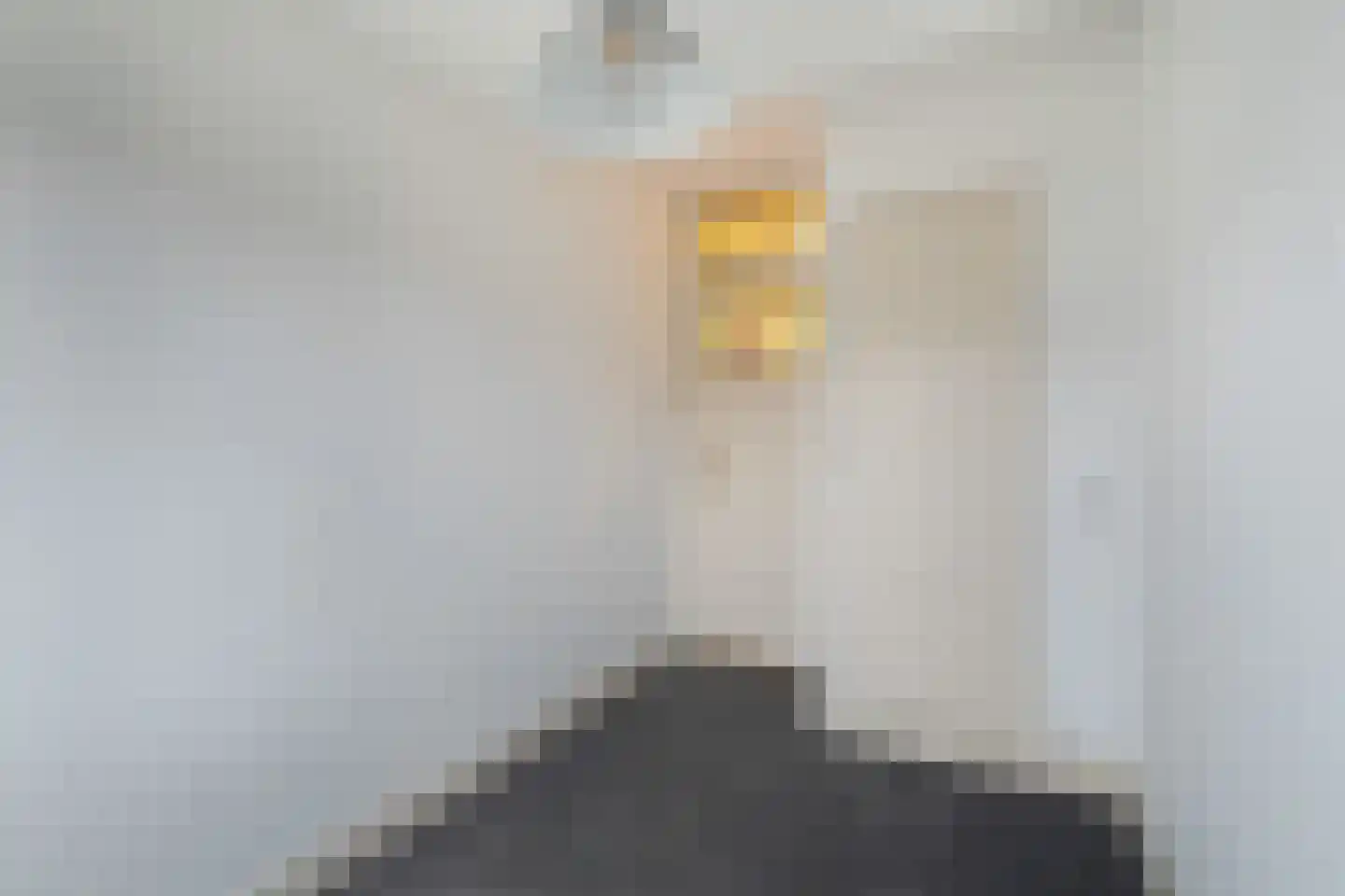 Laan van Nieuw Oosteinde 462 Voorburg thumbnail 35