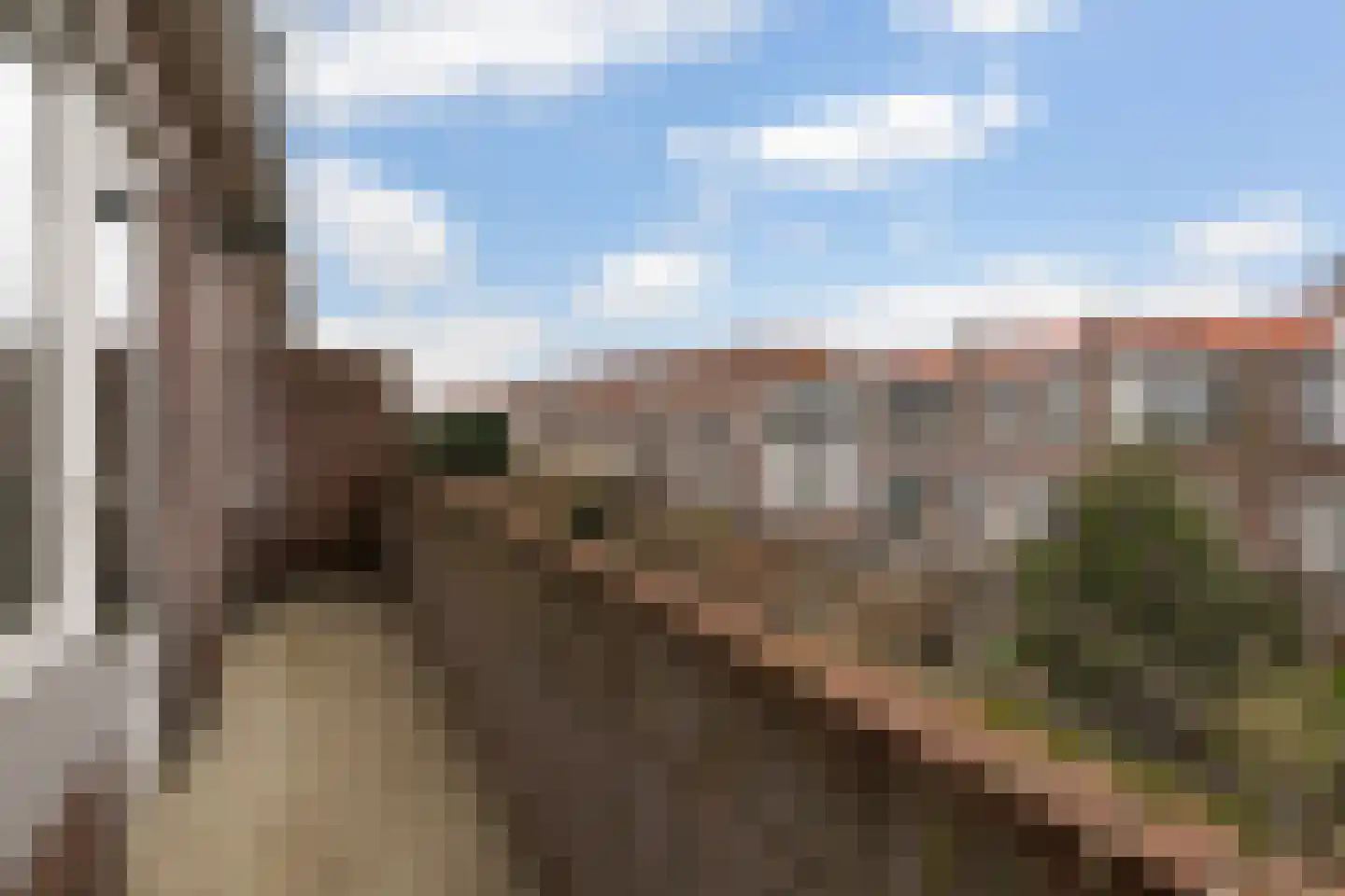 Laan van Nieuw Oosteinde 462 Voorburg thumbnail 40