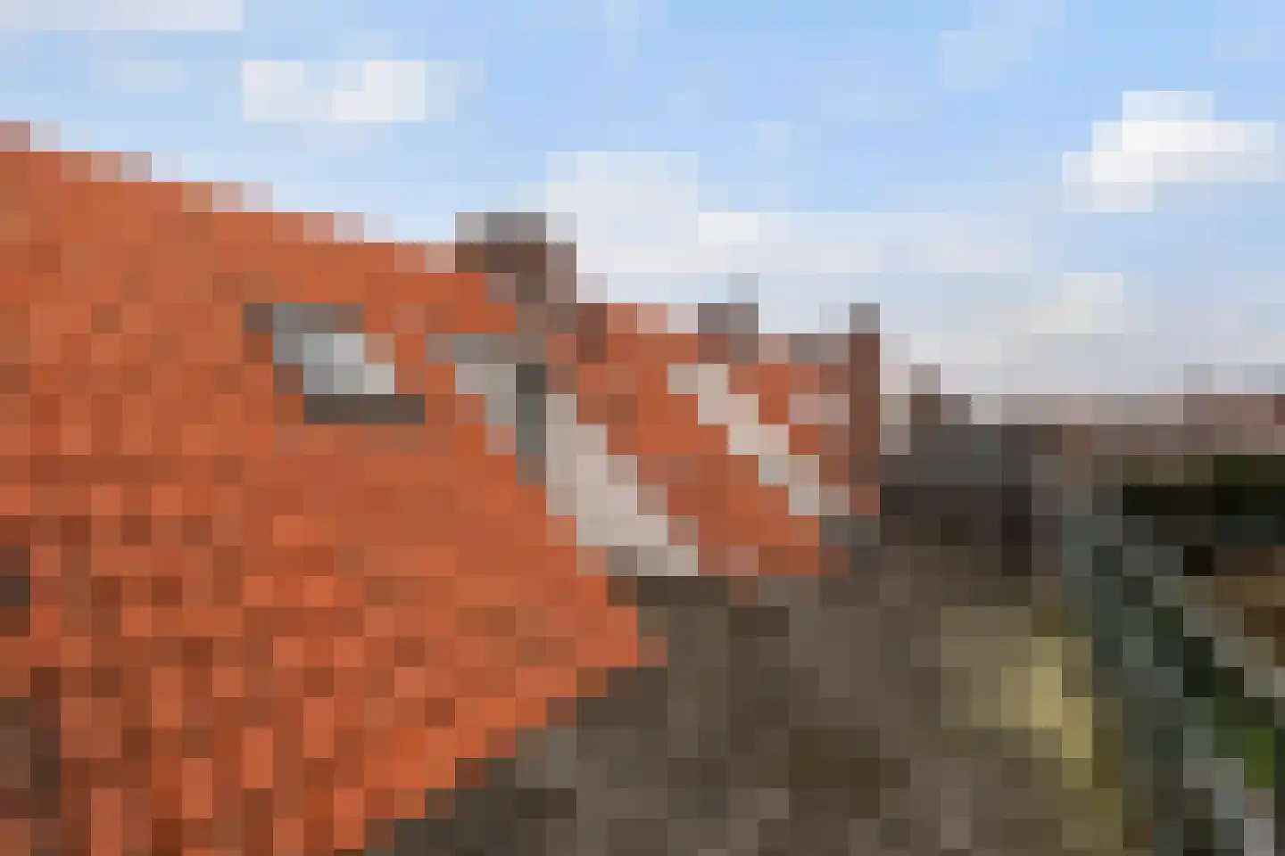 Laan van Nieuw Oosteinde 462 Voorburg thumbnail 49