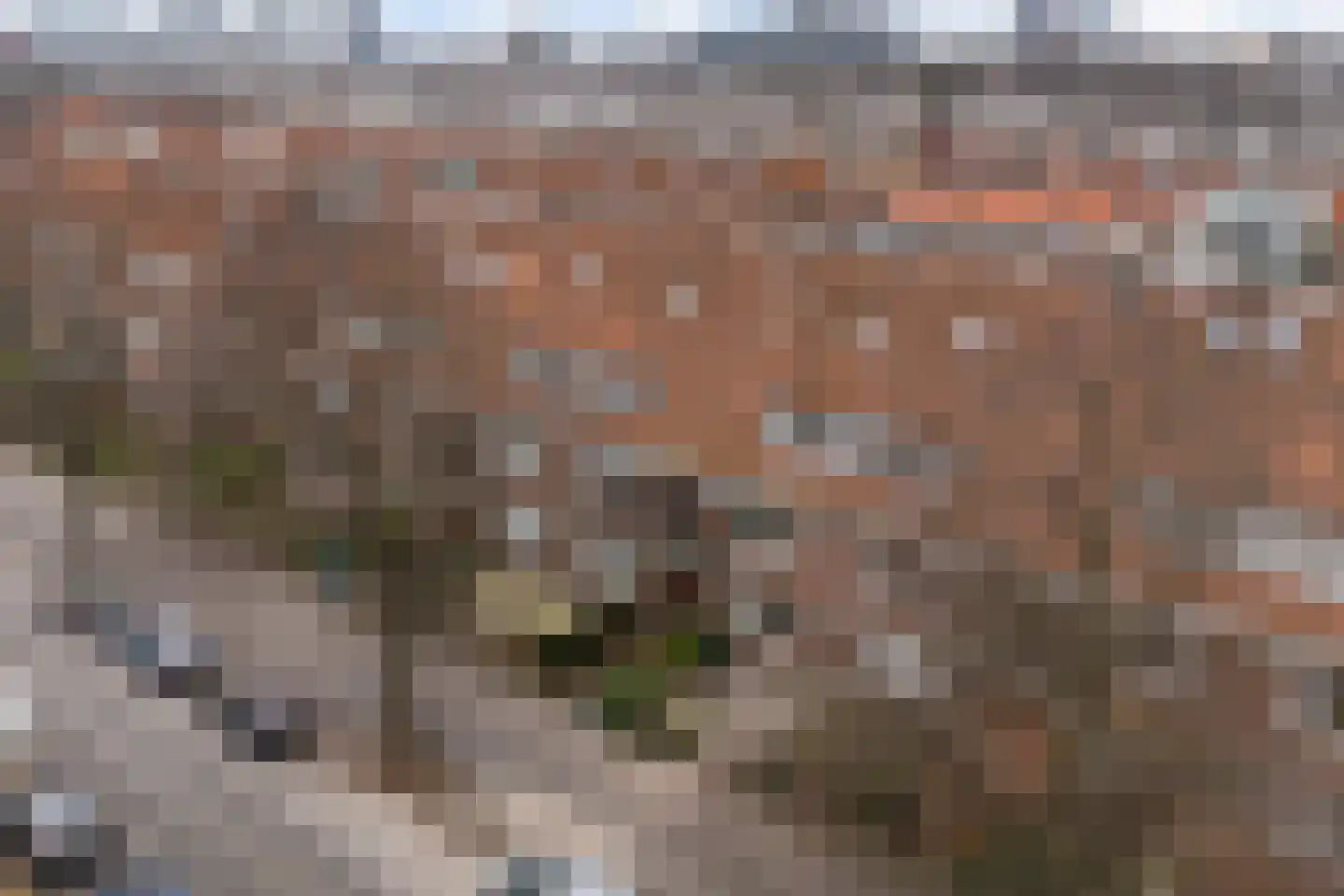 Laan van Nieuw Oosteinde 462 Voorburg thumbnail 56