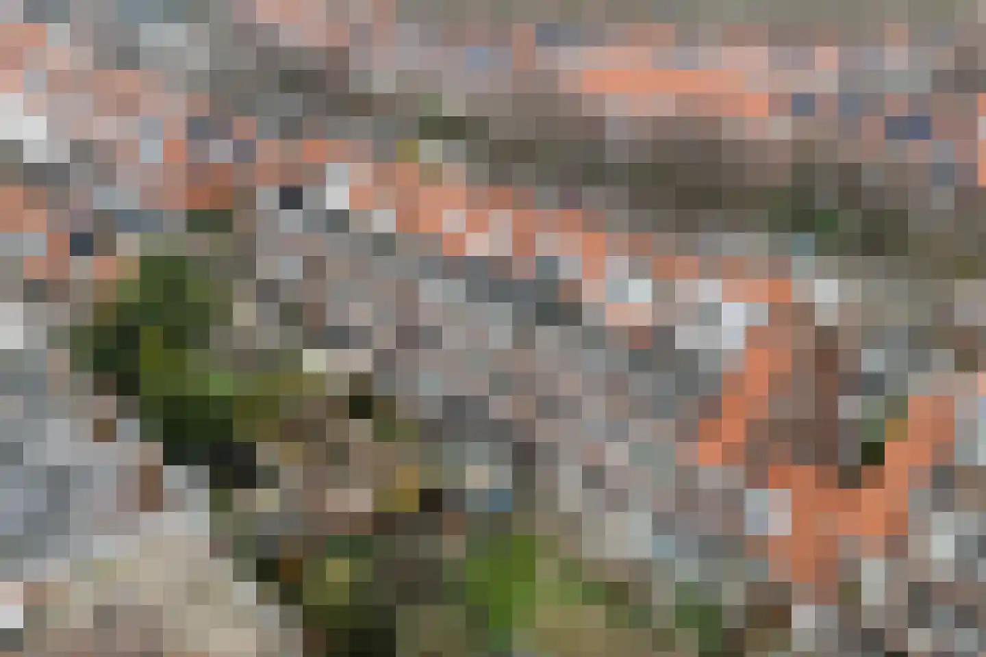 Laan van Nieuw Oosteinde 462 Voorburg thumbnail 58