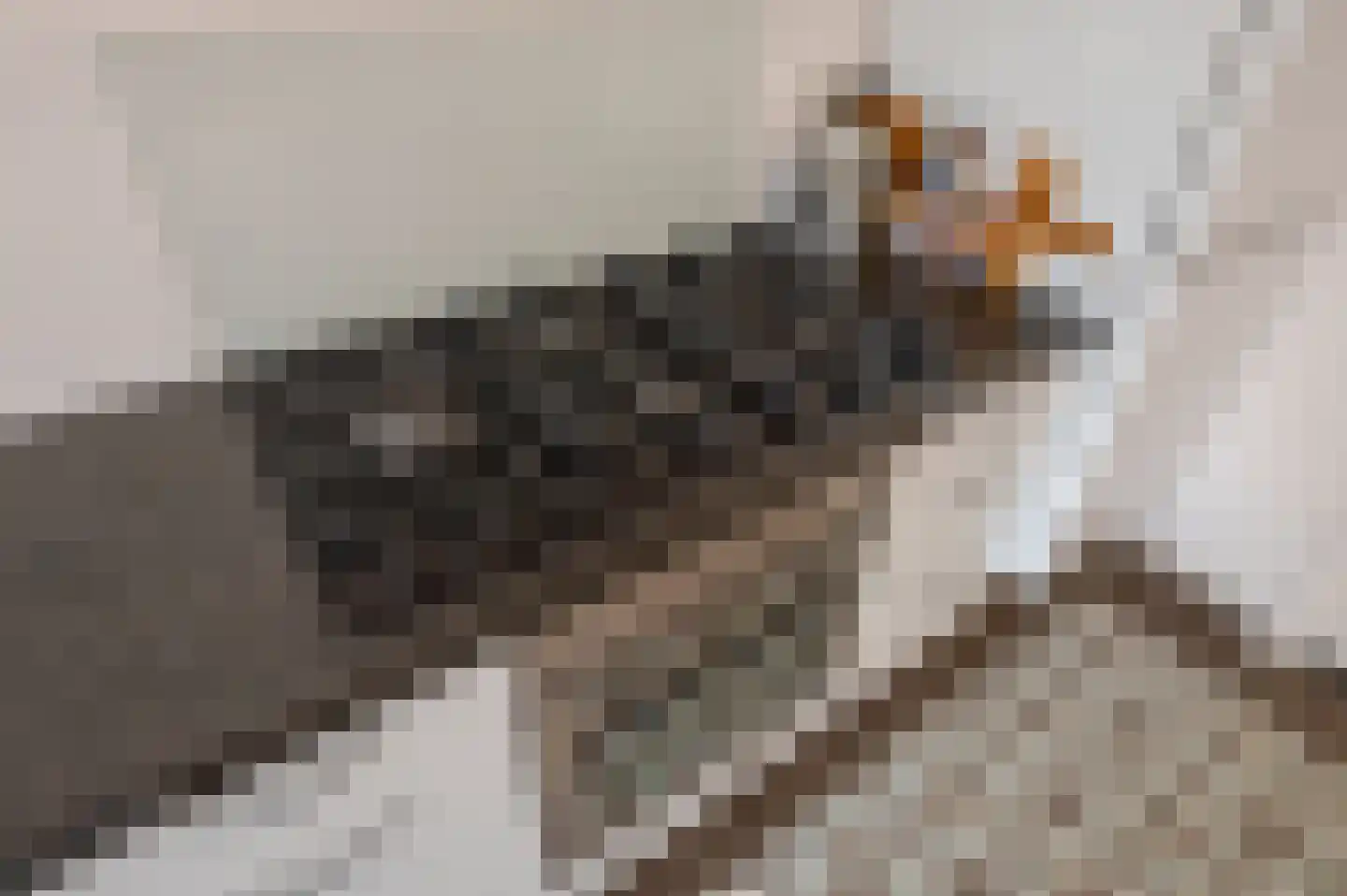 Laan van Nieuw Oosteinde 482 Voorburg thumbnail 41