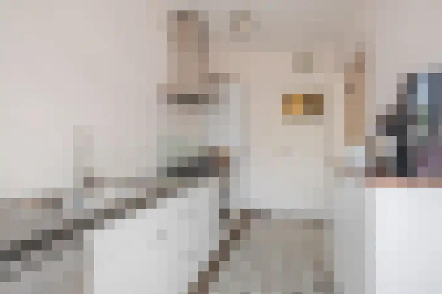 Laan van Nieuw Oosteinde 482 Voorburg thumbnail 42