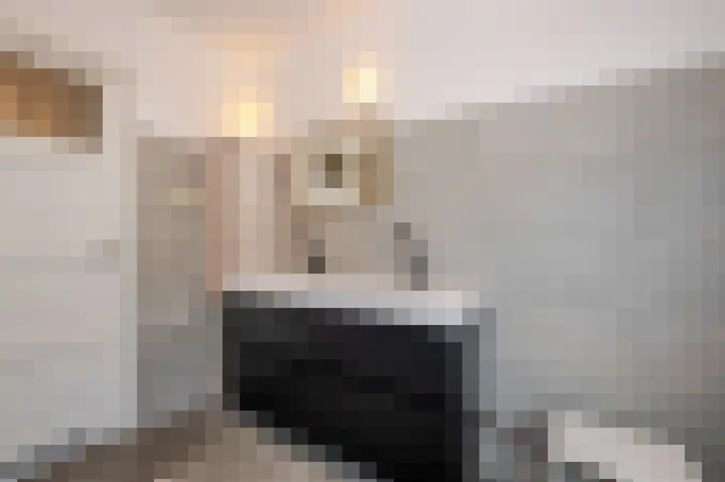 Laan van Nieuw Oosteinde 482 Voorburg thumbnail 66