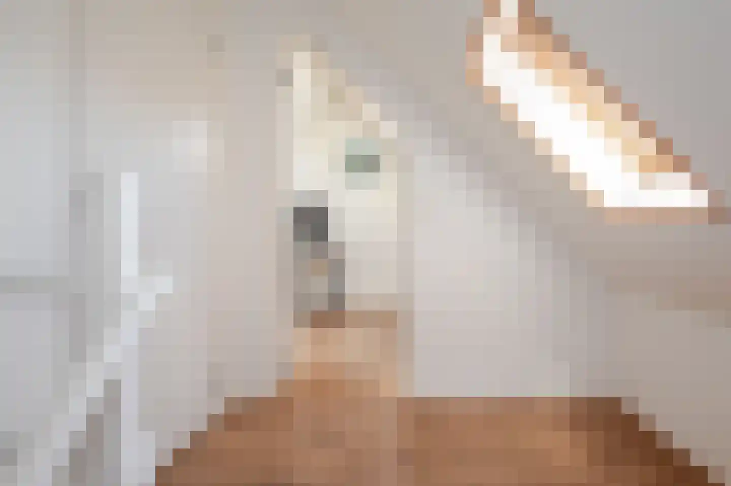 Laan van Nieuw Oosteinde 482 Voorburg thumbnail 87